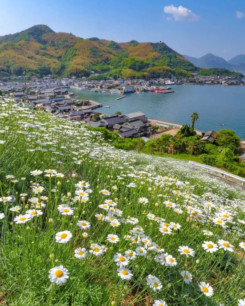 With snow present in many parts of Japan at the moment, we thought we’d do a gre...