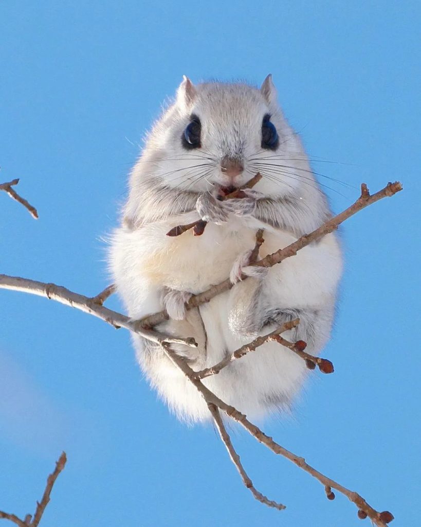 Hokkaido is home to some incredible nature and wildlife, and if you keep your ey...