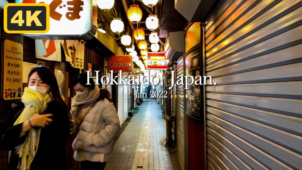 Susukino - HOKKAIDO Walk / すすきの [4K]