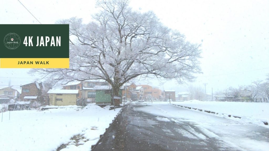 4K Japan Walk -  NIIGATA Hasegawa House Neighborhood Walking Tour | 新潟長岡 2021