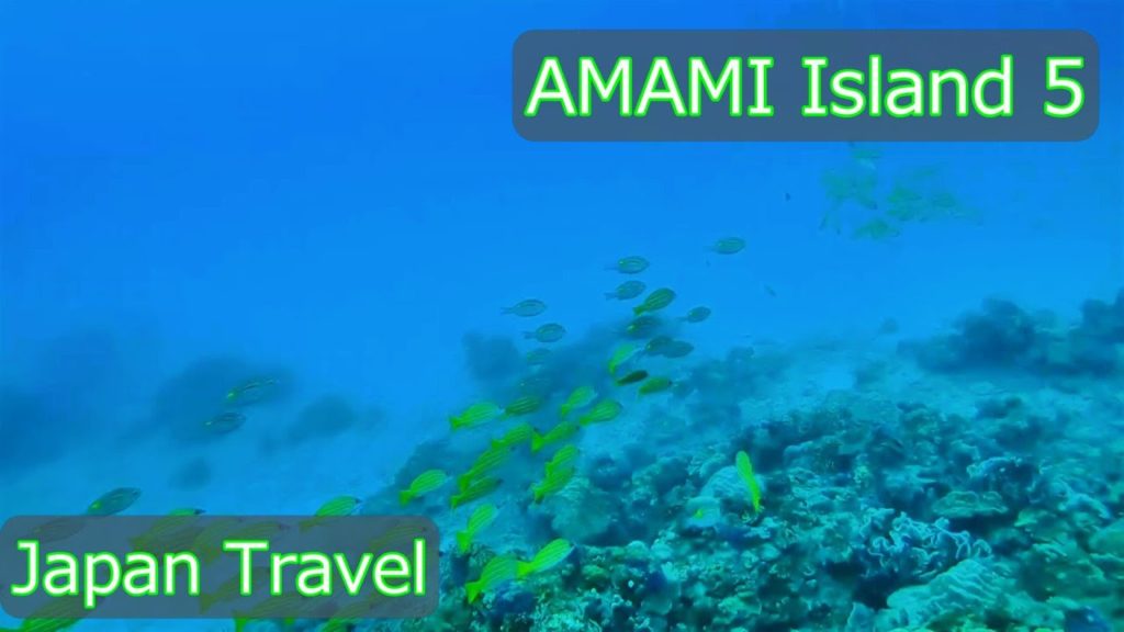 Amami Island travel report part５ [Kagoshima, Japan]
