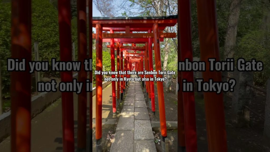 Kyoto Experience in Tokyo #Shorts Kyoto Experience in Tokyo #Shorts