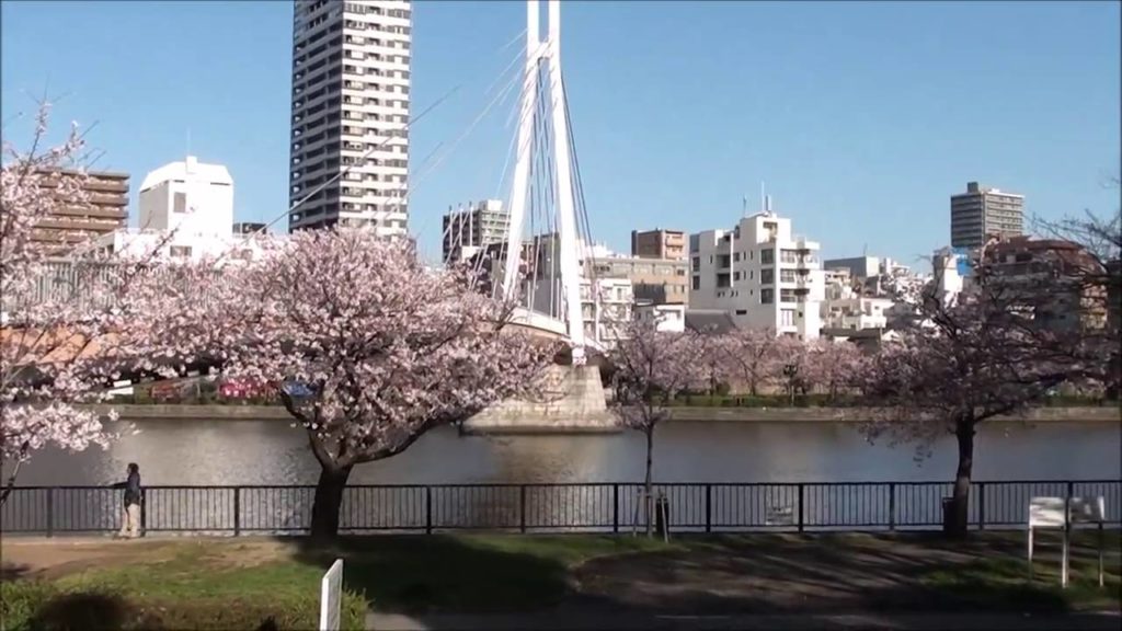 Our Japan Trip Day 2 Part 1- A Morning of Sakura