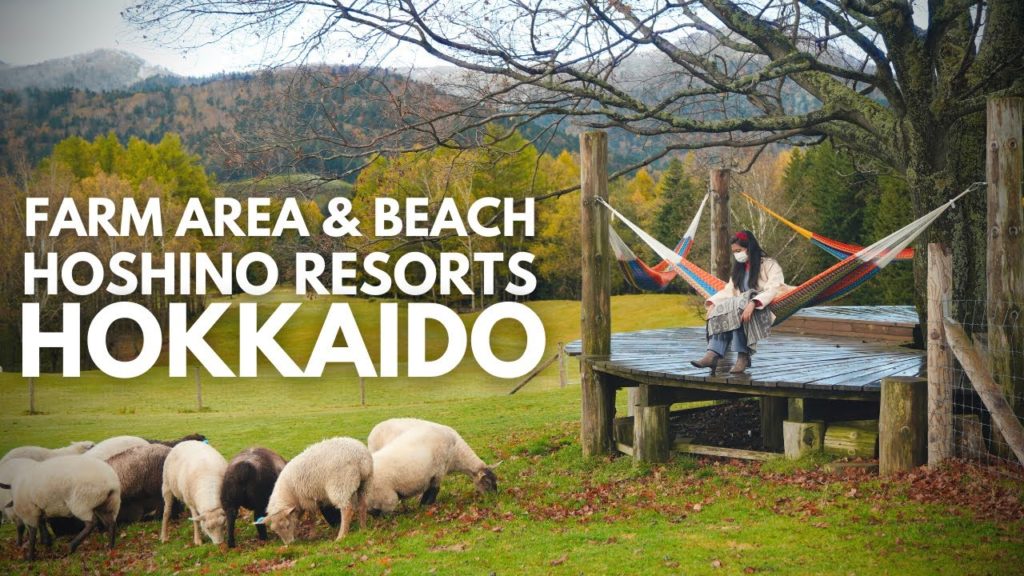 Japan Travel Guide | Farm area & Beach | Hoshino Resorts Tomamu | Hokkaido｜JNTO