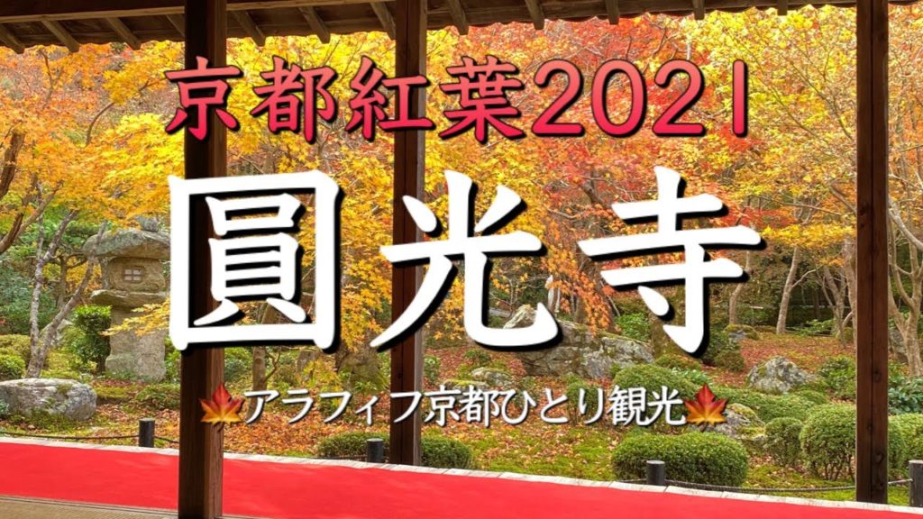 京都紅葉2021🍁【圓光寺】CMでも有名な美しい紅葉を眺めるアラフィフ女性の京都紅葉女ひとり観光!(Kyoto Japan) 京都紅葉2021🍁【圓光寺】CMでも有名な美しい紅葉を眺めるアラフィフ女性の京都紅葉女ひとり観光!(Kyoto Japan)