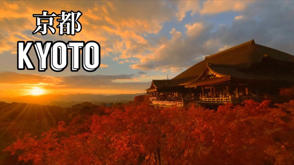 Kyoto Japan Travel Guide 2021 | 秋 京都の紅葉 Kyoto Japan Travel Guide 2021 | 秋 京都の紅葉