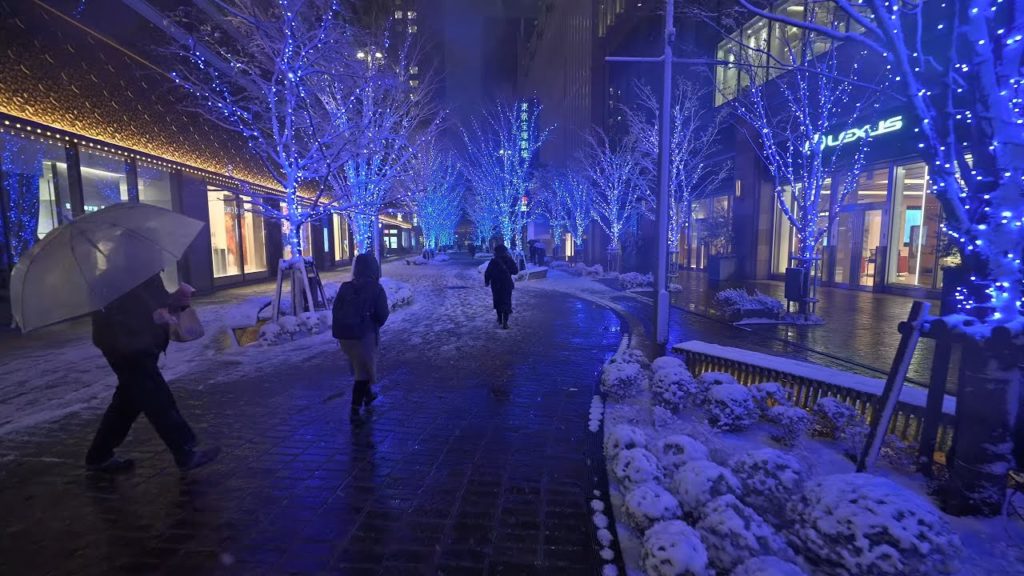 Tokyo snow 2022・4K HDR