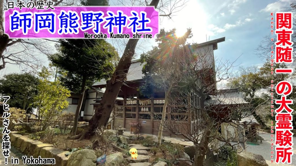 【師岡熊野神社/Morooka Kumano shrine】光あふれる秘密のパワースポット神社/A secret shrine full of light【アヒサガ/Find a duck】