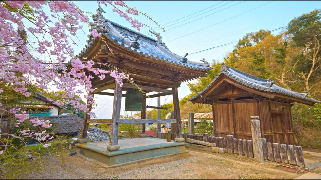 8K HDR 徳島 藤井寺 四国遍路11番札所 Tokushima, Fujiidera, Shikoku88 Pilgrimage No.11