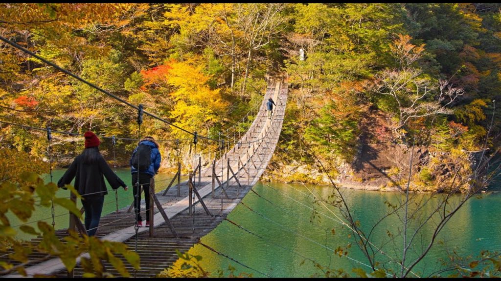 8K HDR 静岡 寸又峡の紅葉 Shizuoka, Sumatakyo Gorge in Autumn