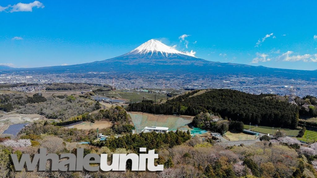 Ｍｔ．　Ｆｕｊｉ　＆　Ｓａｋｕｒａ