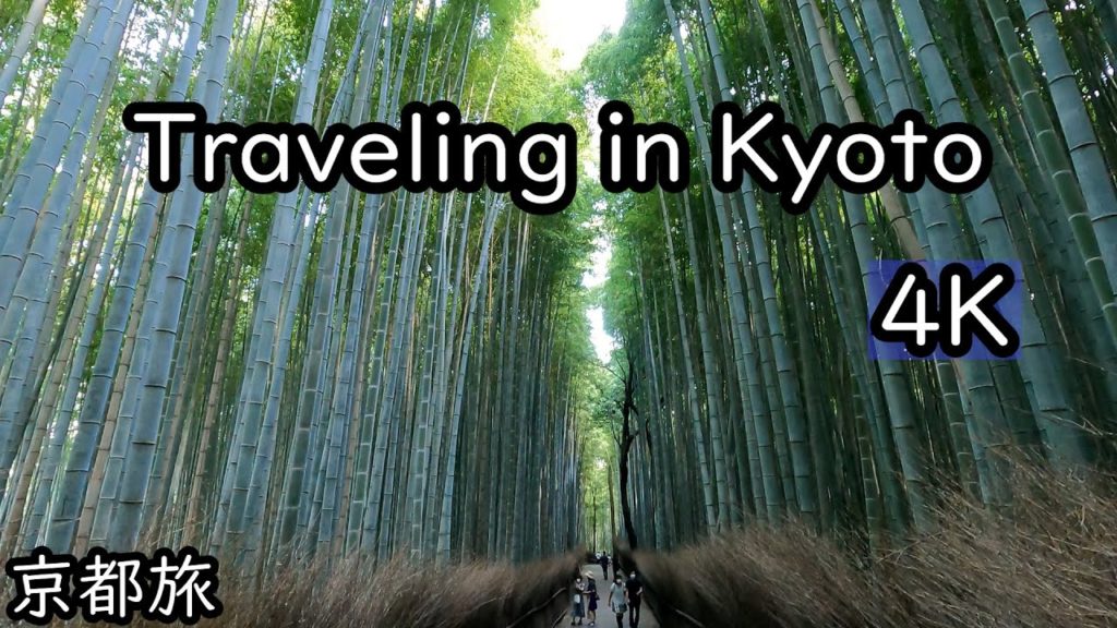 [4K] Travel in Kyoto, Japan: Rurikoin, Arashiyama, Meiji Jingu, Kiyomizu