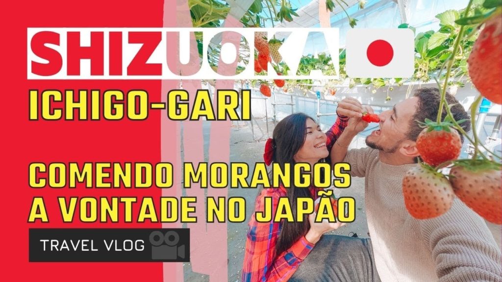 SHIZUOKA: ICHIGO-GARI CAFÉ STYLE [Comendo morando a vontade no Japão] 🇯🇵🍓