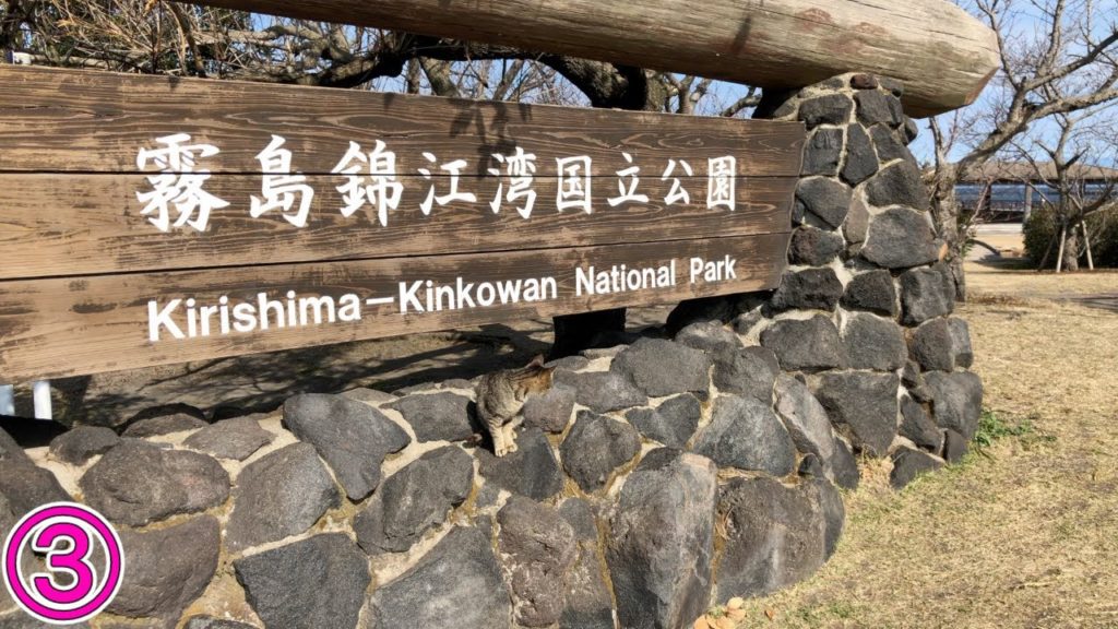 桜島を観光しながら1周するぞ!③(私🙄より野良猫どん🐱の方が出演多いの巻)【2022/01/21】 桜島を観光しながら1周するぞ!③(私🙄より野良猫どん🐱の方が出演多いの巻)【2022/01/21】