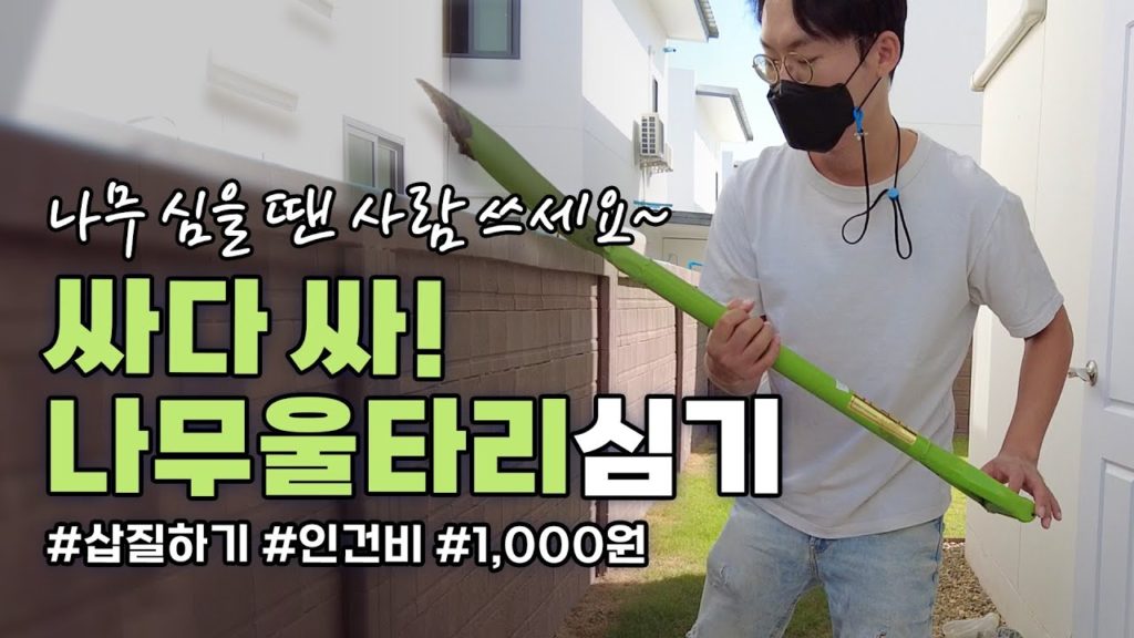 역시 동남아에서는 나무가 싸다. 근데 인건비는 더 싸다! 행복한 태국 물가와 이사 준비하기.