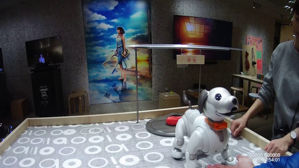 Shibuya in Tokyo (Japan Travel)