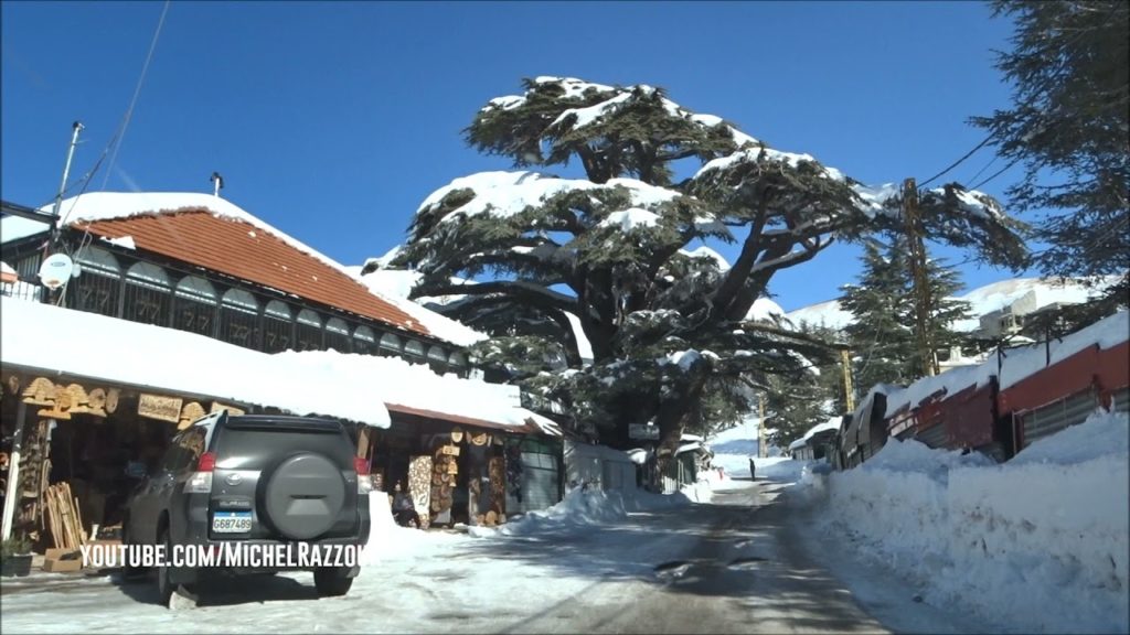 Snow White Lebanon (2022-01-22)