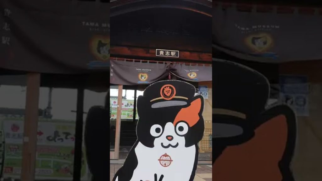 El presidente es un GATO en esta estación🐱 #Shorts