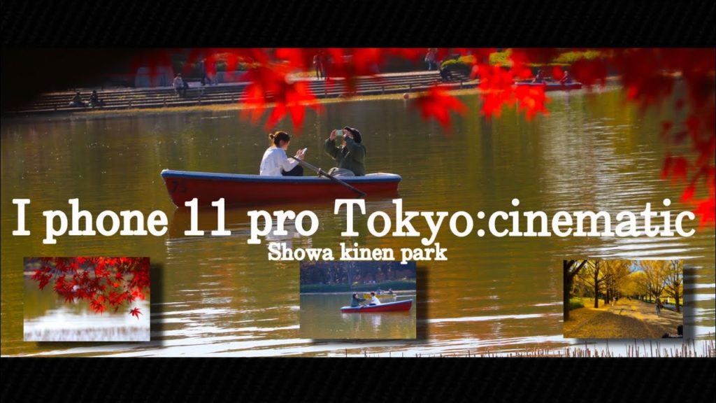 Tokyo travel 2020|cinematic video I phone 11 pro|showa kinen park autumn leaves| travel film|japan