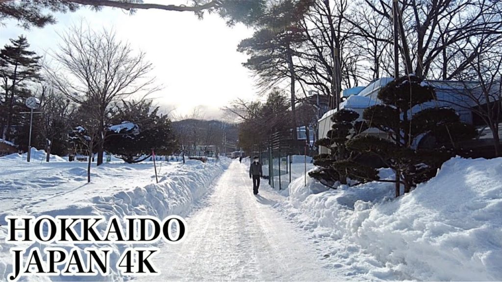 Travel【Hokkaido】Snowfall in Sapporo Maruyama Zoo | Winter trip to Hokkaido | Japan Walk | ASMR Travel【Hokkaido】Snowfall in Sapporo Maruyama Zoo | Winter trip to Hokkaido | Japan Walk | ASMR