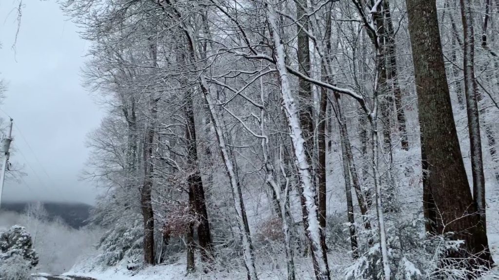 First Snow in North Georgia - 2022