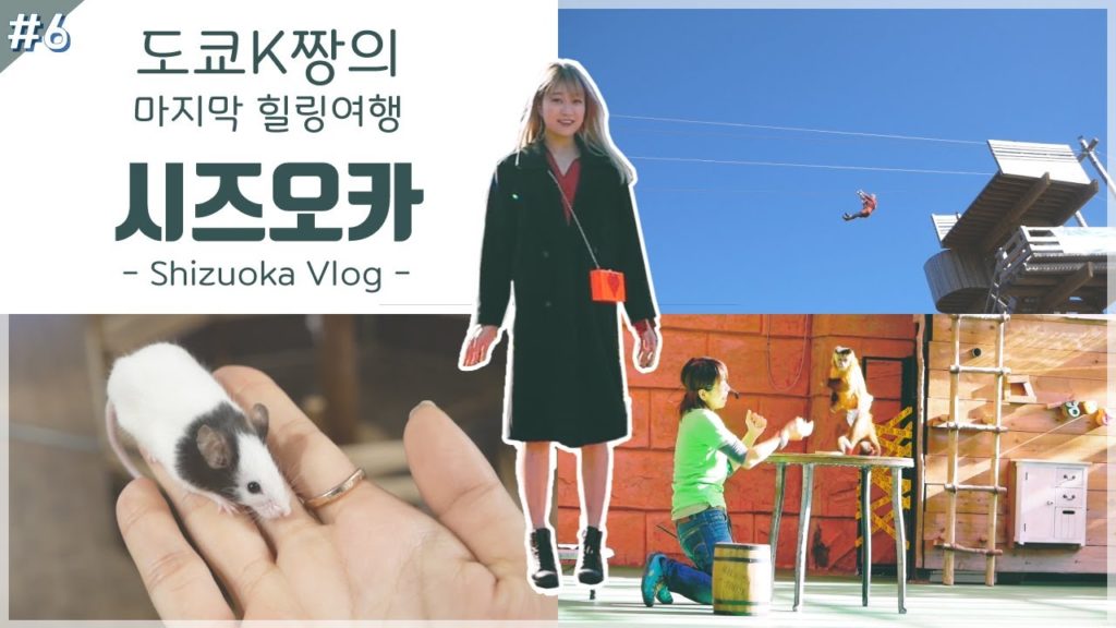 [JP]높은데서 뛰어내리고 생쥐도 만지고 원숭이랑도 함께 놀았던 시즈오카 힐링여행 그 마지막이야기│일본일상v-log│케이스키│Kski│