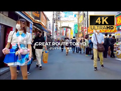 【4K】AKIHABARA Tokyo Day Trip 秋葉原散歩 電気街 – Nov.2021 JAPAN 【4K】AKIHABARA Tokyo Day Trip 秋葉原散歩 電気街 - Nov.2021 JAPAN