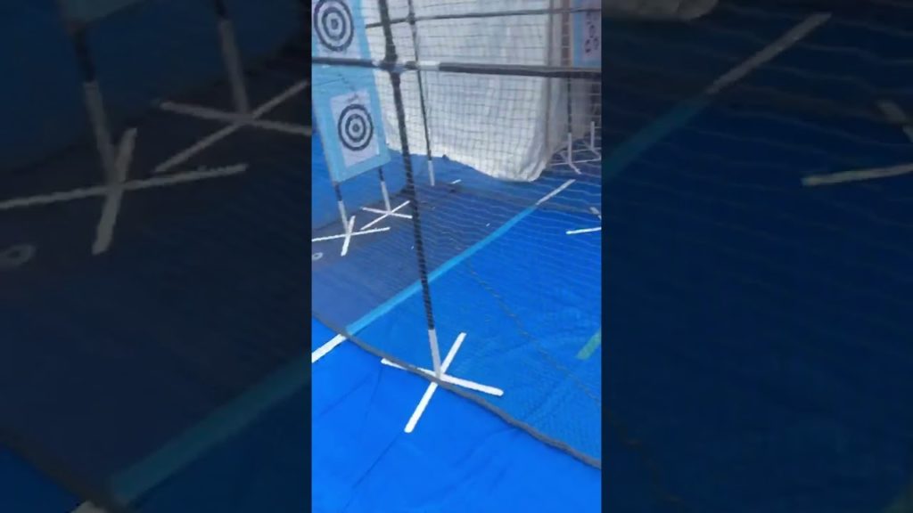 Touring Japan Japanese Street Food Experience at the Ueno Onshi Park of Taitō, Tokyo, Japan Touring Japan Japanese Street Food Experience at the Ueno Onshi Park of Taitō, Tokyo, Japan