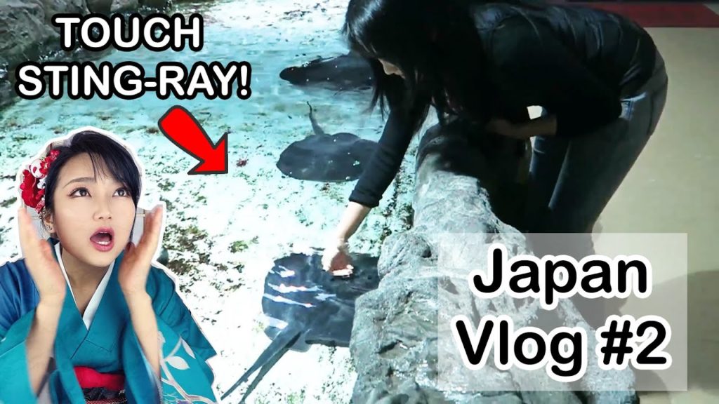 HOKKAIDO JAPAN: Vlog #2 [Noboribetsu] ♨️❄️✨