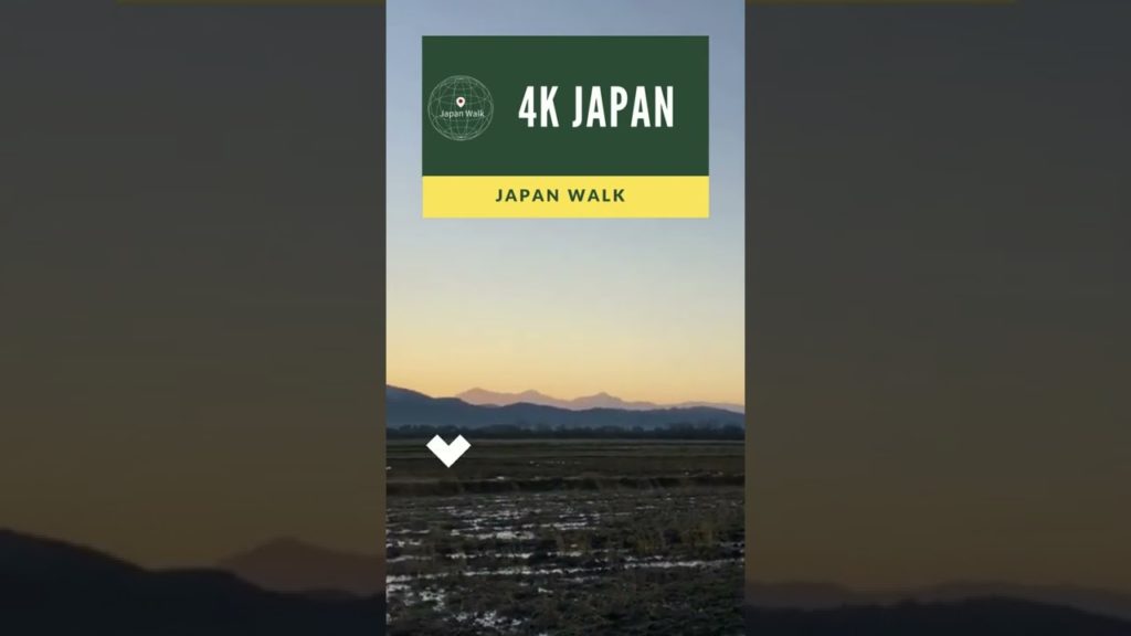4K Japan Walk -  NIIGATA NAGAOKA Neighborhood Walking Tour | 新潟長岡 2021