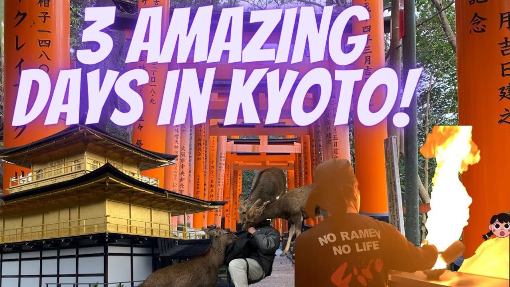 How to Spend 3 Epic Days in KYOTO, JAPAN! Feed Wild Deer! Watch Before You Go!