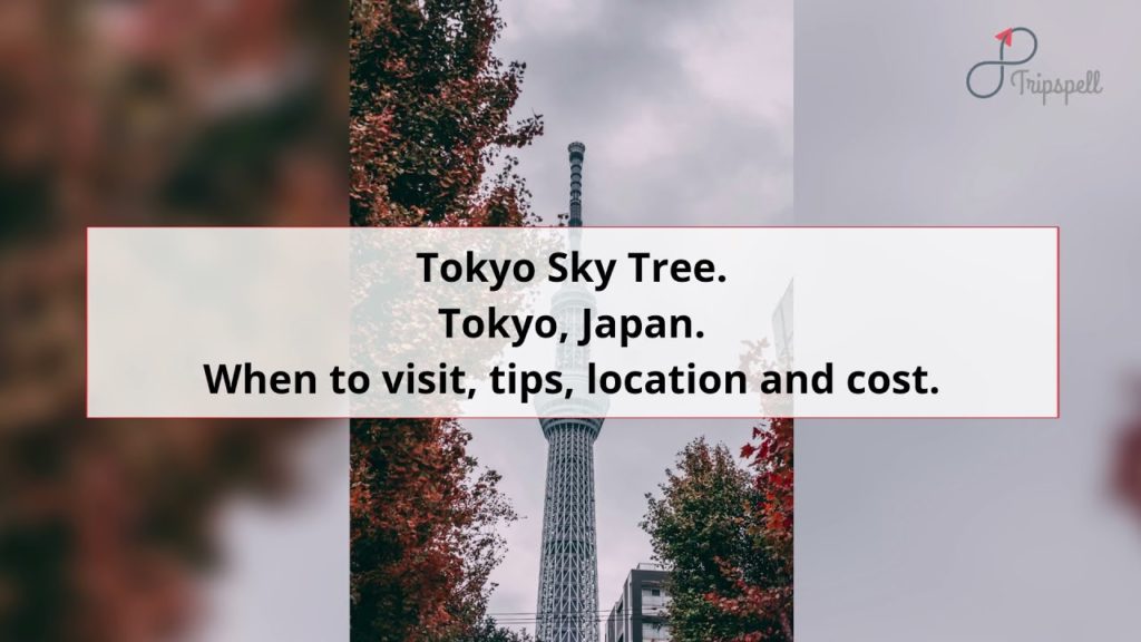 Tokyo Skytree, Tokyo Guide - What to do, When to visit, How to reach, Cost  Tripspell