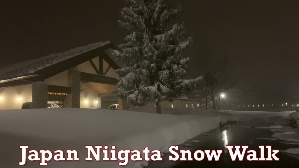 Japan Niigata Snow Walk 2021.12.27 ASMR Ambience Sound Sleep Meditate Relax Ski Mountain Alps Japan Niigata Snow Walk 2021.12.27 ASMR Ambience Sound Sleep Meditate Relax Ski Mountain Alps