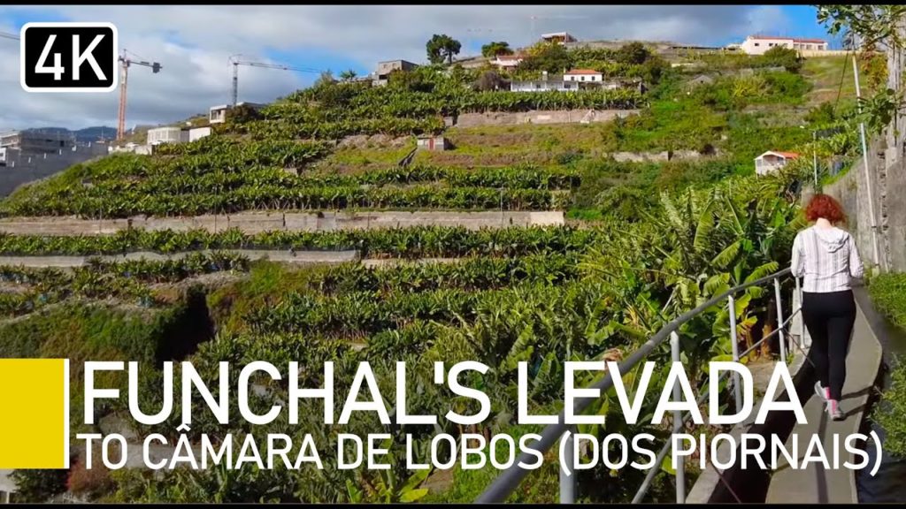 Funchal's Levada, Madeira Portugal 2022 | - Levada Dos Piornais Narrated Walking Tour