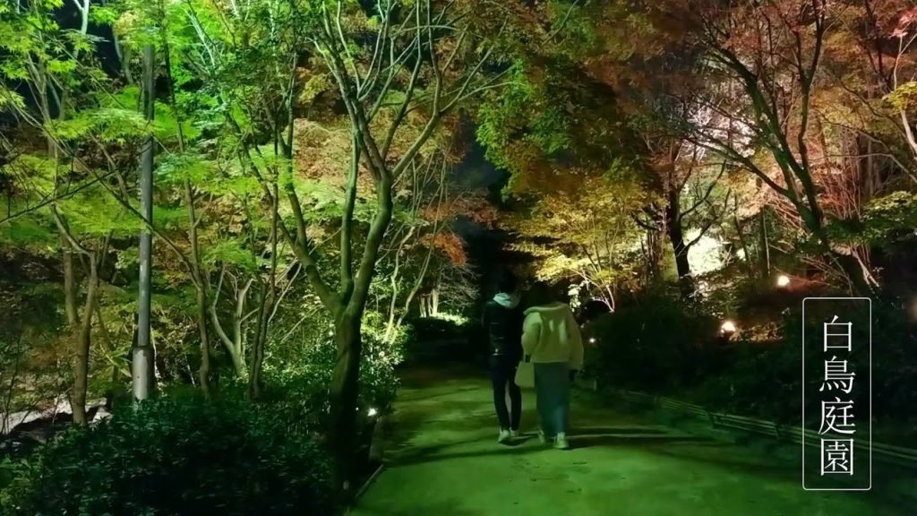 Autumn Leaves in Japan, Shirotori Garden Light Up | Japan Travel – JV GO Autumn Leaves in Japan, Shirotori Garden Light Up | Japan Travel - JV GO