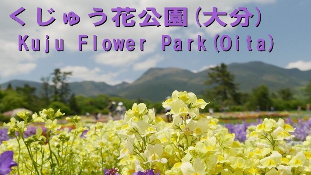 【くじゅう花公園 大分】くじゅう花公園 / Kuju Flower Park【阿蘇くじゅう国立公園】