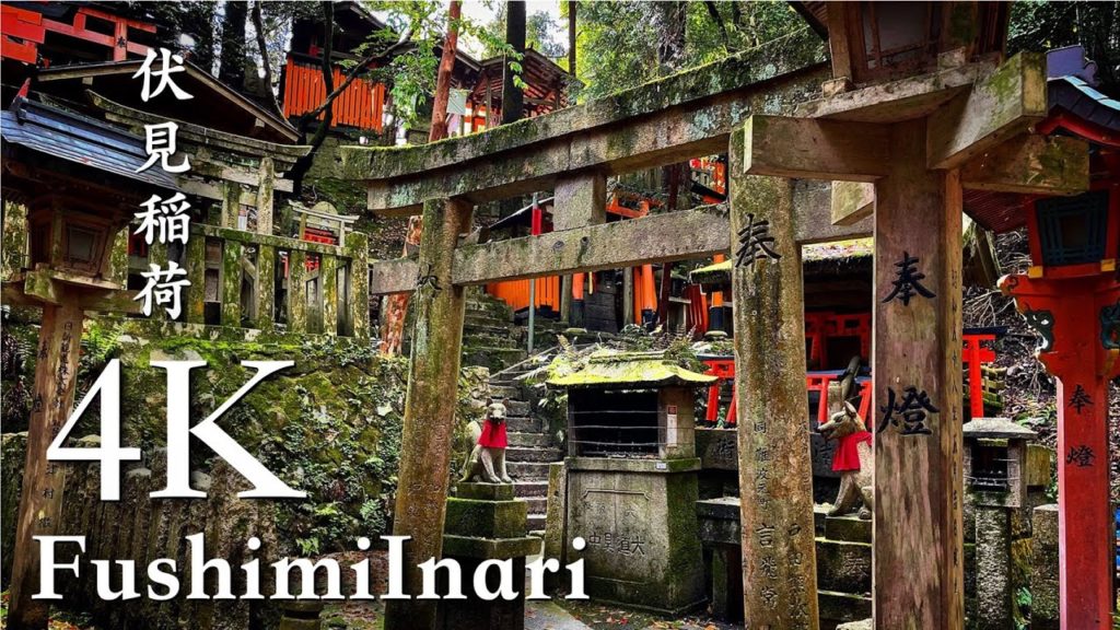 4K Beautiful descending scenery at Fushimi Inari Shrine Kyoto, / DJI OM4, Japan Kyoto Travel