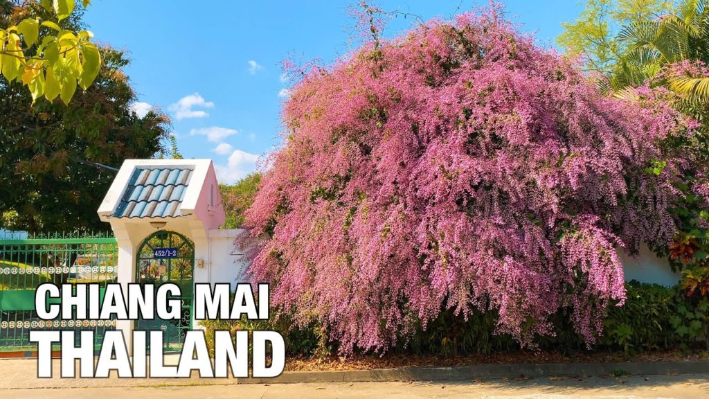 【4K】Chiang Mai Neighborhood at Daytime - Thailand 🇹🇭- 4K 60fps #10