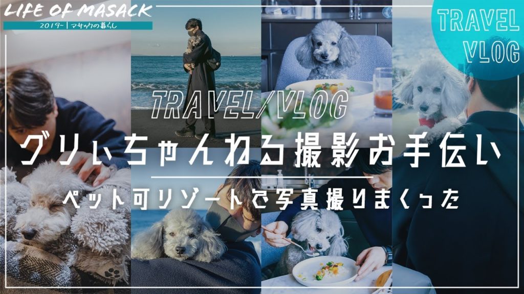 グリィちゃんねると千葉のペット可ホテル『amane』に宿泊したが凄すぎた!ホテル紹介&写真撮影!【房総半島おすすめホテル】 グリィちゃんねると千葉のペット可ホテル『amane』に宿泊したが凄すぎた!ホテル紹介&写真撮影!【房総半島おすすめホテル】