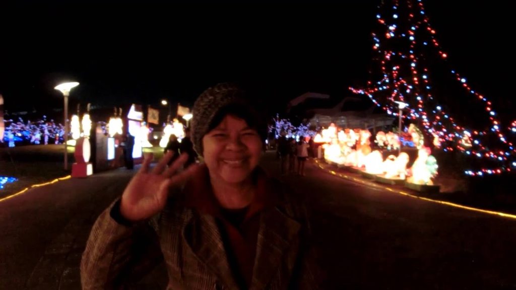 2013  Taiwan  Lantern Festival in Taipei (  Night  )  -  Mom's 2ND Taiwan Vacation!