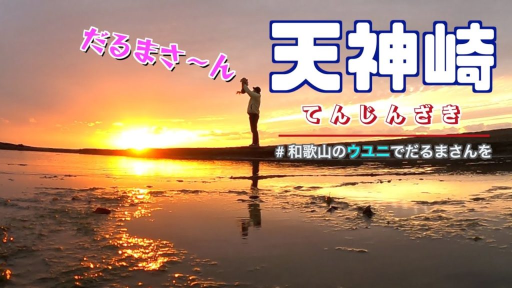 【 天神崎 】 和歌山 の ウユニ で だるまさん を