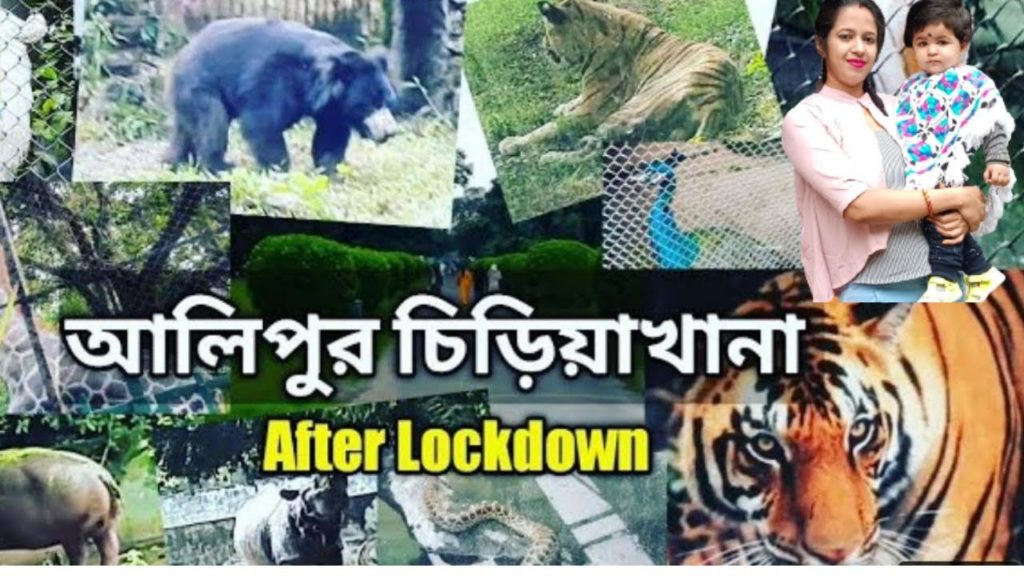 Kolkata Alipore Zoo Tour 2022 || Alipur Chiriakhana Visit || Zoological Garden Tour 2022