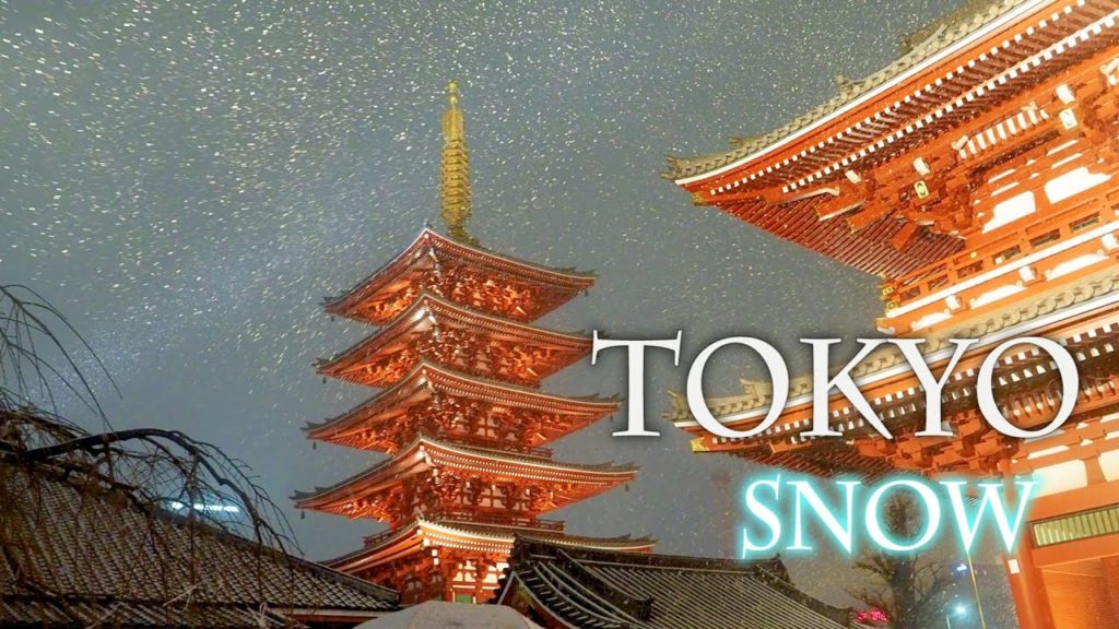 【4K Snowfall】Weather agency predicted heavy snow for TOKYO. But It doesn't snow so much. 天気予報は大雪。#4K
