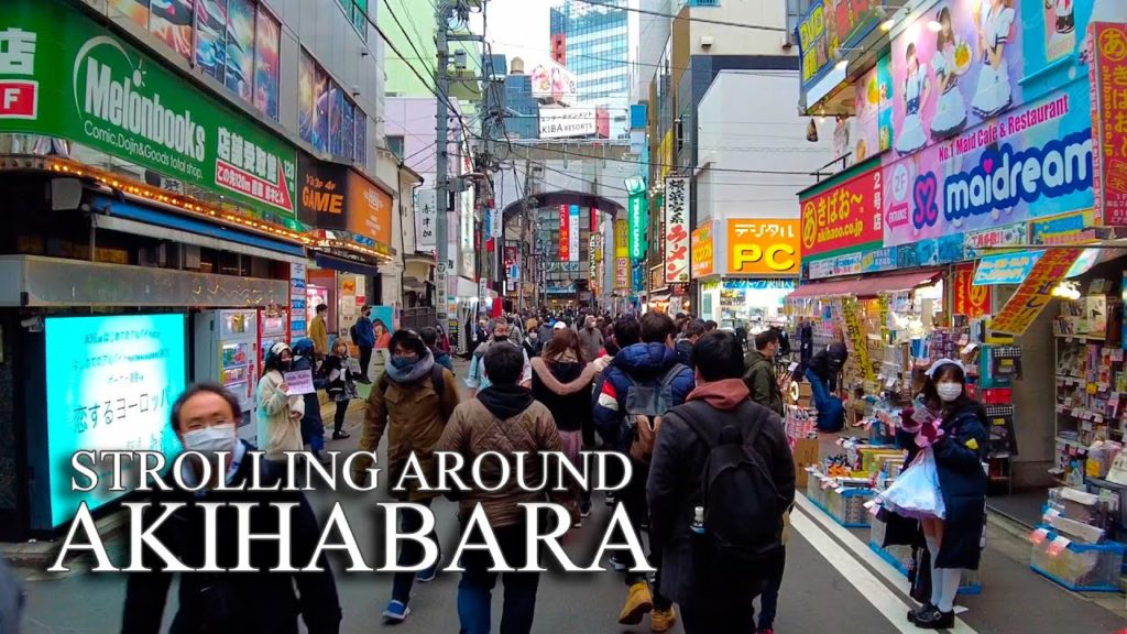 Cat and dog ears day on Akihabara / Exploring Akihabara / 4K Japan