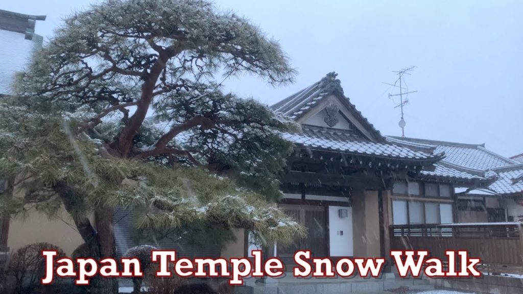 Japan Temple Snow Walk 2022.02.10 ASMR Ambience Sound Sleep Meditate Tokyo Suburb Snowfall Winter Japan Temple Snow Walk 2022.02.10 ASMR Ambience Sound Sleep Meditate Tokyo Suburb Snowfall Winter