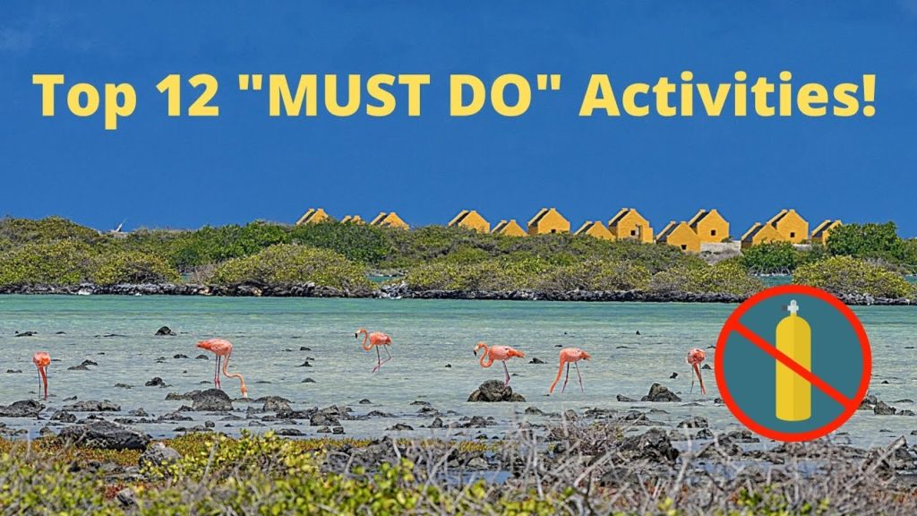Top 12 "MUST DO" Activities on Bonaire - Other Than Scuba Diving