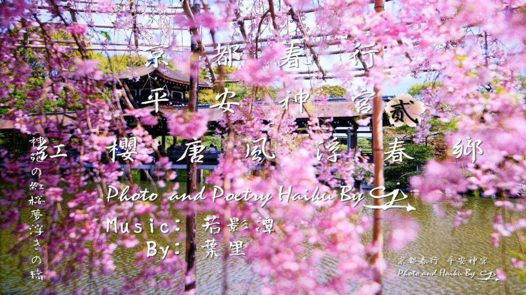 [4K]京都春行 桜色の平安神宮2 (紅櫻唐風浮春鄉) Spring Travel in Japan with Cherry Blossoms in Heian Jingu Shrine.