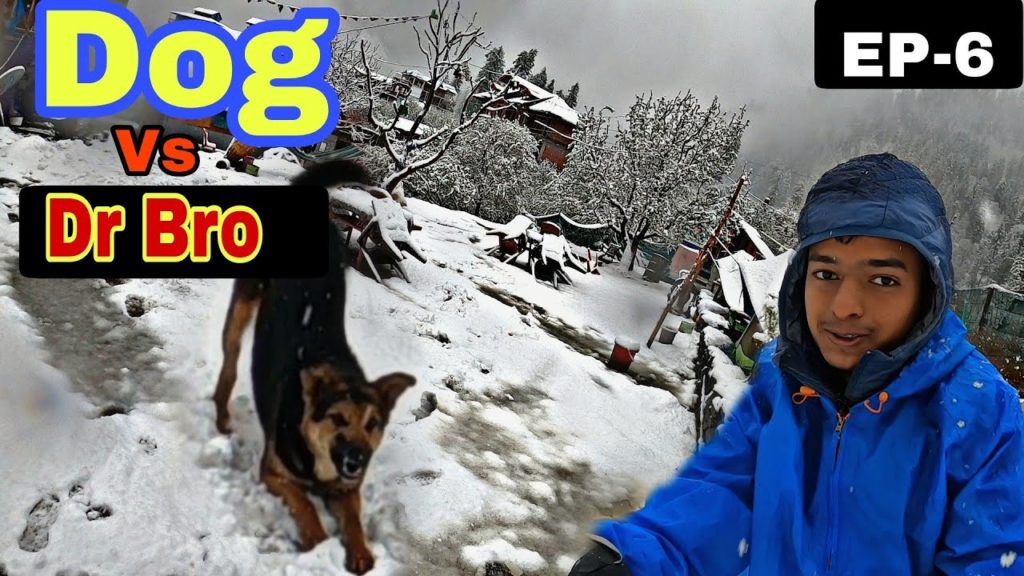Heavy Snow Fall in Himachal Pradesh | 😍Omg | Dr Bro | Kannada vlogs Heavy Snow Fall in Himachal Pradesh | 😍Omg | Dr Bro | Kannada vlogs