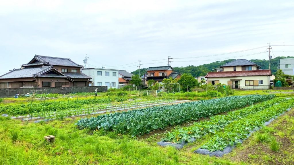4K Japan Walk - Japanese Abandoned Houses | Countryside Village | Neighborhood Walking Tour