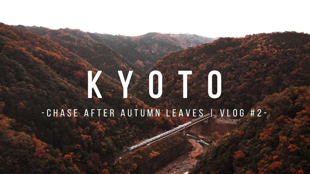 Chase After Autumn Leaves | Kyoto 京都 Vlog #2 | JAPAN 4K CINEMATIC TRAVEL VIDEO